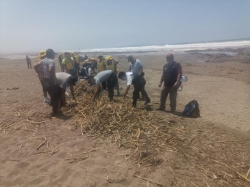 Sentenciados y liberados limpian playa de Tacna