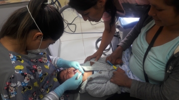 Niños del EP Cusco Mujeres fueron atendidos por odontólogos