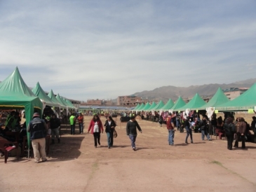 Realizan II Gran Expoferia