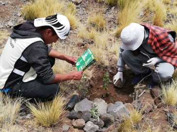 Puno: Sentenciados y liberados participan en campaña