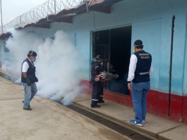 Fumigan penales para prevenir enfermedades