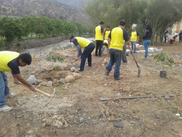 Liberados y sentenciados participan en reforestación