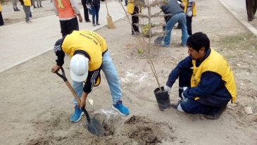 INPE realiza megacampaña de arborización