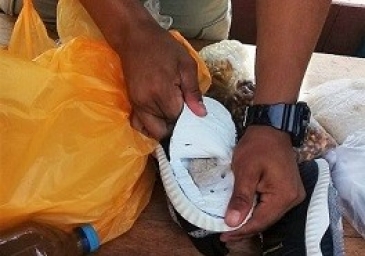 Madre de interno pretendió ingresar supuesta droga en zapatillas